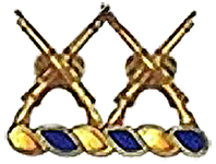 1st/20th insignia pin